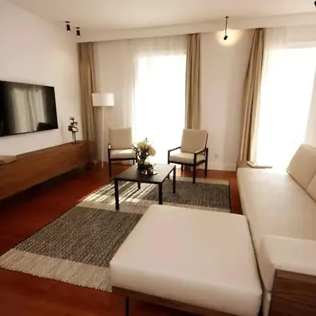 Timeless Ambassador -belem *